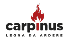 logo brand